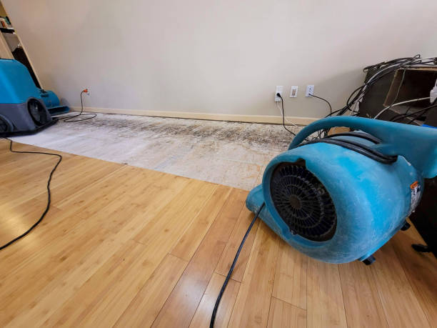 Professional Water Damage Repair technician working in McArthur, OH
